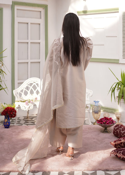 3-Piece Raw Silk Farshi Shalwar Suit